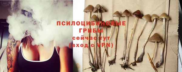 шишки Михайловка