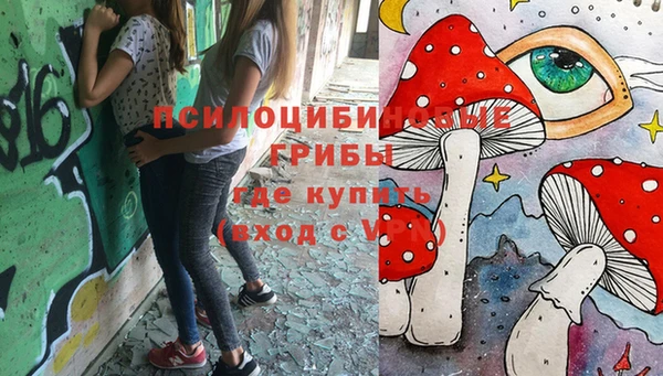 дмт Алзамай
